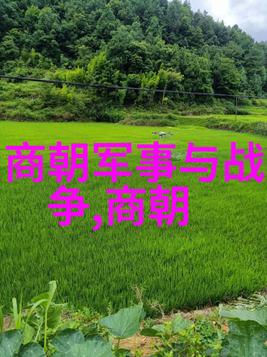 明朝煌烂史册重塑历史巨变与英杰传奇