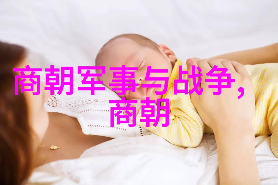 经济衰败与政治腐败元朝末期的内在矛盾分析