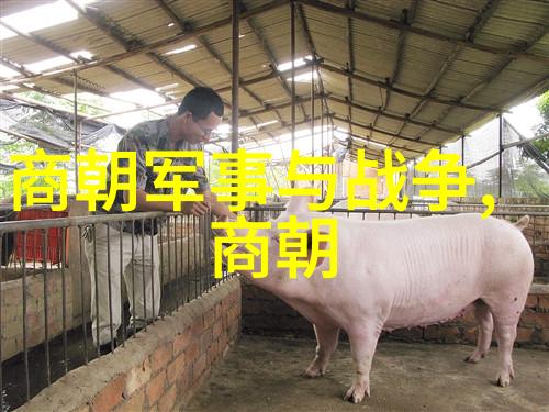 南京建都明朝的城市梦想与实践