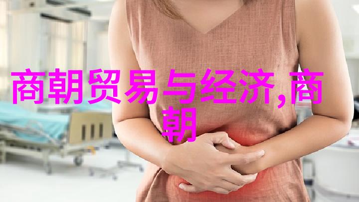 北宋末年国运衰败之路