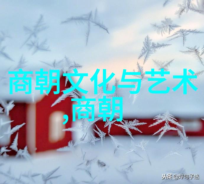 在文化交流方面元朝与周边国家相互借鉴到了哪些科技知识或技术