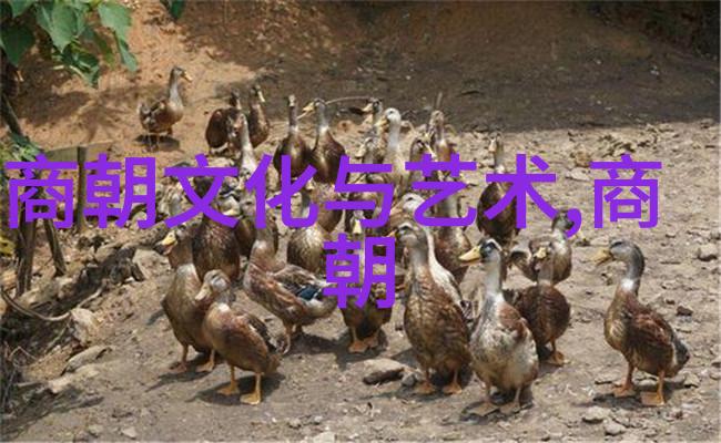 元朝的繁荣与和谐其对中国历史发展的深远贡献