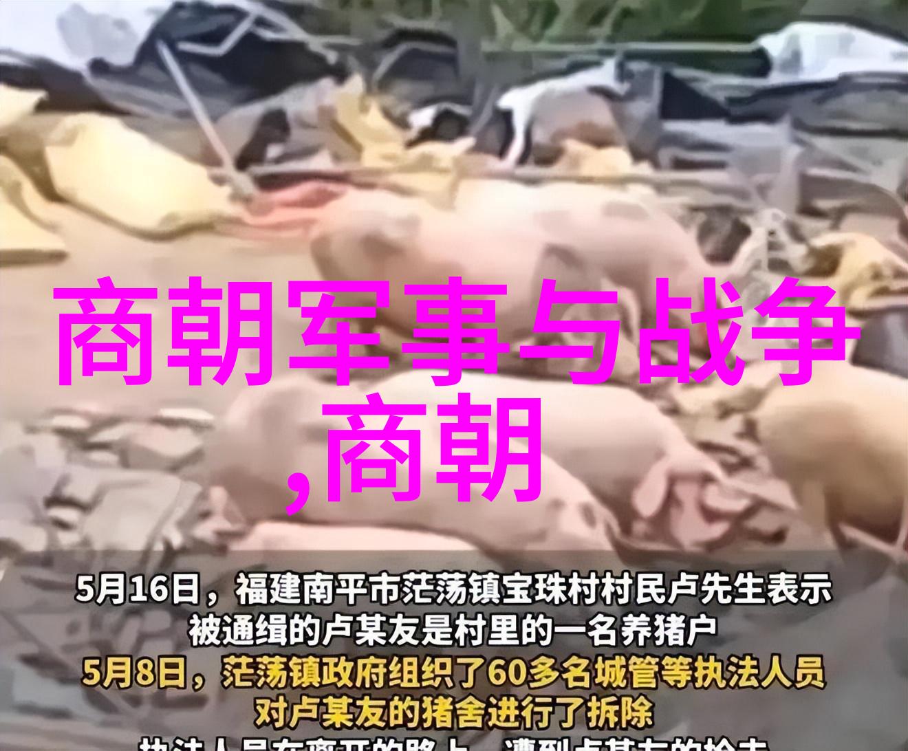 历史上的趣事尼古拉斯塔尔顿的奇妙逃脱术