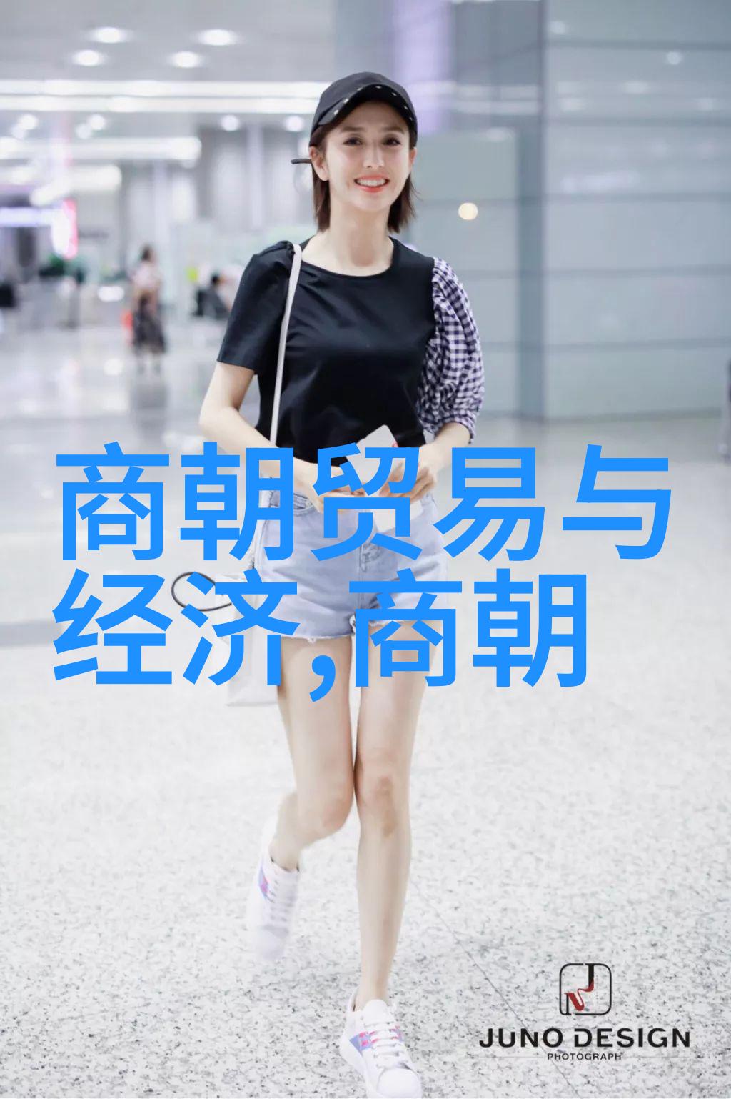 仰韶文化类型探究揭秘中国旧石器时代的智慧遗产