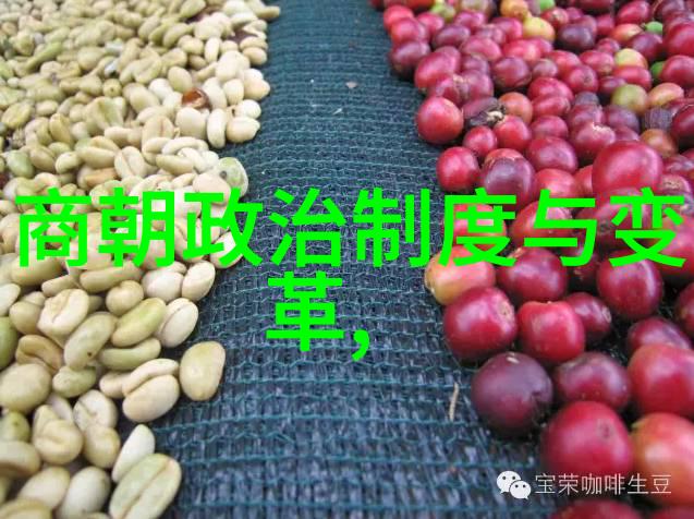沈炼南朝大事件在自然之中绘幕开启