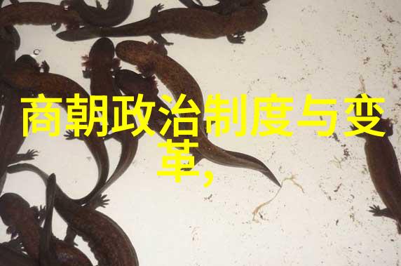 明朝那些事电视剧时光倒流的历史迷雾