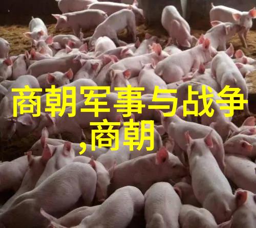 历经千年探索历史上最长寿的朝代