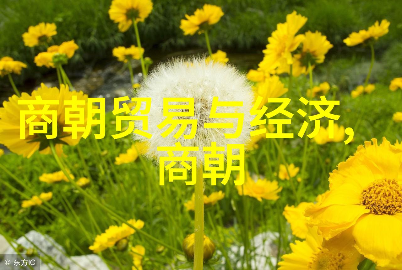 2014年十一黄梅戏展演周民营剧团首次亮相张辉表演自然风光中
