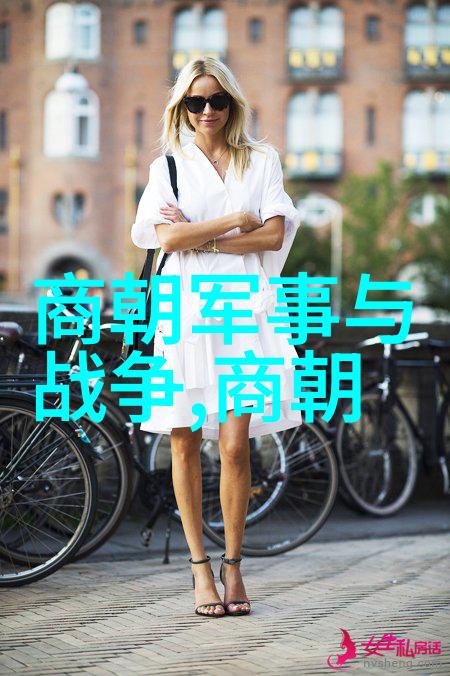猫头鹰与狐狸的智慧较量