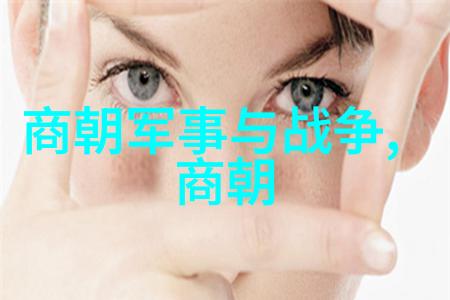 宋朝历史成就中华文明的巅峰丝绸之路的繁荣科技与文化的辉煌