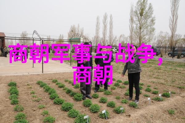 探秘AV界幕后的故事揭开成人影业的神秘面纱