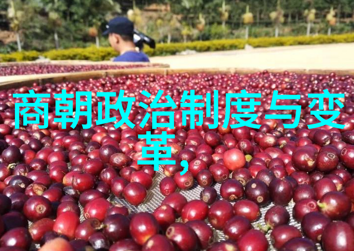 明朝文化的魅力与现代人情感的回响