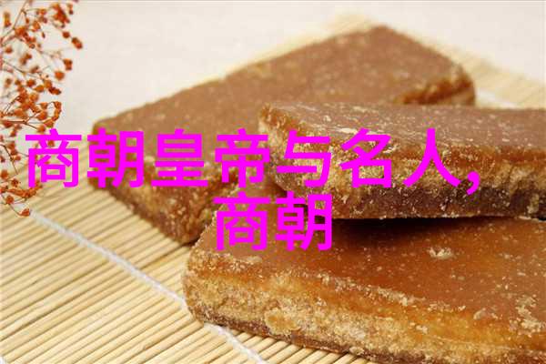 明朝盛世煌光与衰落暗影