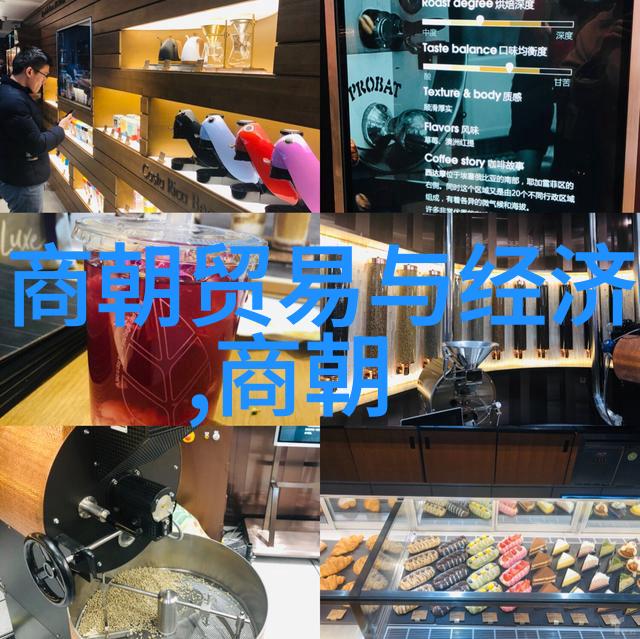 历史探究-明朝的末日从永乐到崇祯帝国的覆灭