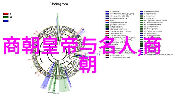 朱巧云豫剧旦角全场戏自然演绎河南曲剧之魅力