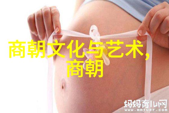 探索中华文明的脉络中国历史中的兴衰更迭