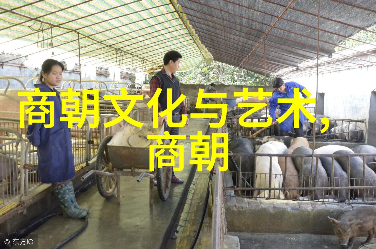 数据驱动2022年宝藏歌手排行榜