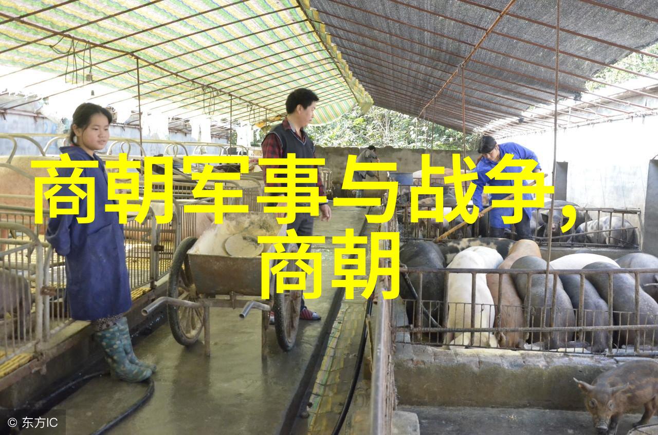 从忽必烈到明太祖元末至明初政权更迭史话
