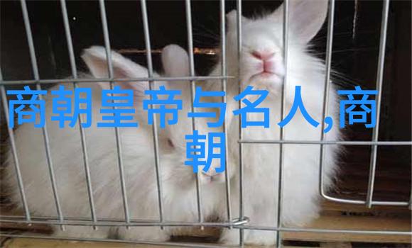 明太祖之谜为何不选择那位英勇的儿子