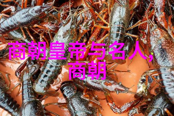 宋朝风华与民变王安石变法至岳飞抗金的故事