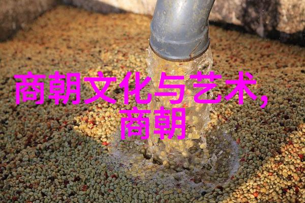 辽阔的帝国探索元朝疆域的无垠篇章