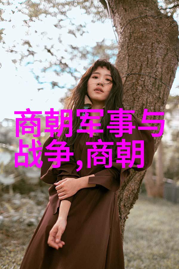 明朝那些事儿从盛唐到落幕的反差篇章