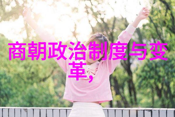 美貌的代价与价值探究