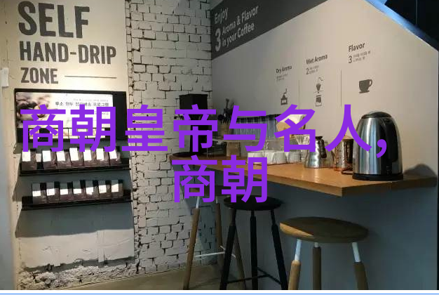 元朝领土辉煌从蒙古帝国到中原王朝的扩张与巩固