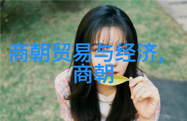 明代风云荣耀与衰落的反差篇