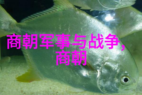 主题咱们中国的朝代时间表一点点回顾