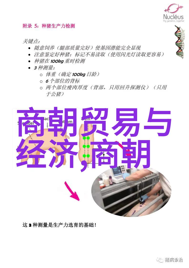 大明风华中的丫鬟谜团孙若微身边的秘密