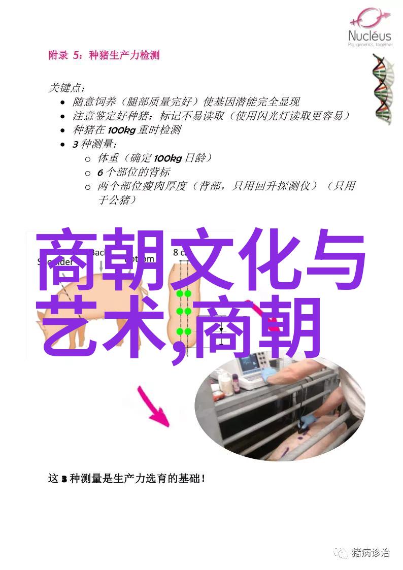 杨淑妃倾城之恋与宫廷秘密