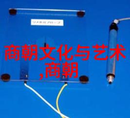 外患内忧交加时期的国防战略调整
