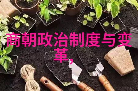 从不杀朱棣事件中我们可以学到哪些关于处理家族内部矛盾的智慧和策略