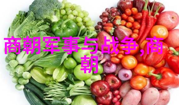 明朝南京都城的兴衰从洪武到崇禎的转变