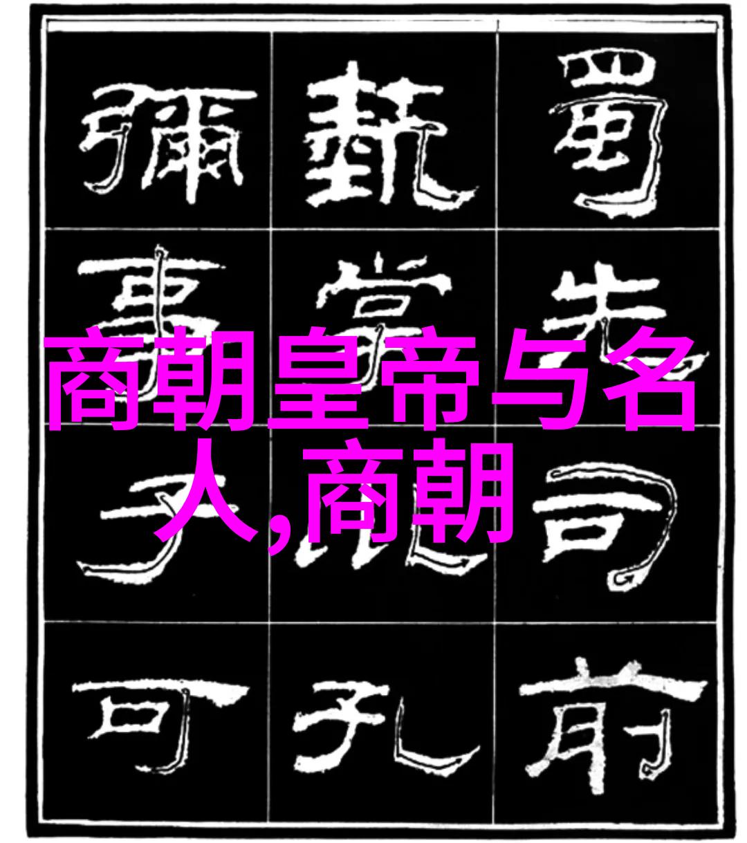 忽必烈蒙古帝国的征服与统治