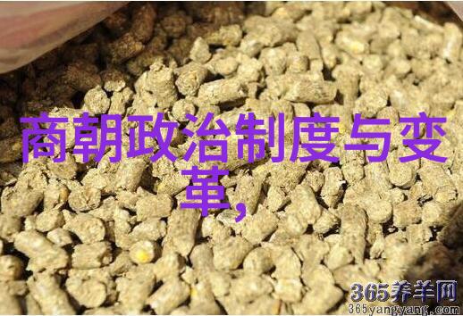 是谁建立了隋朝杨坚一代枭雄如何创立并统治大隋帝国