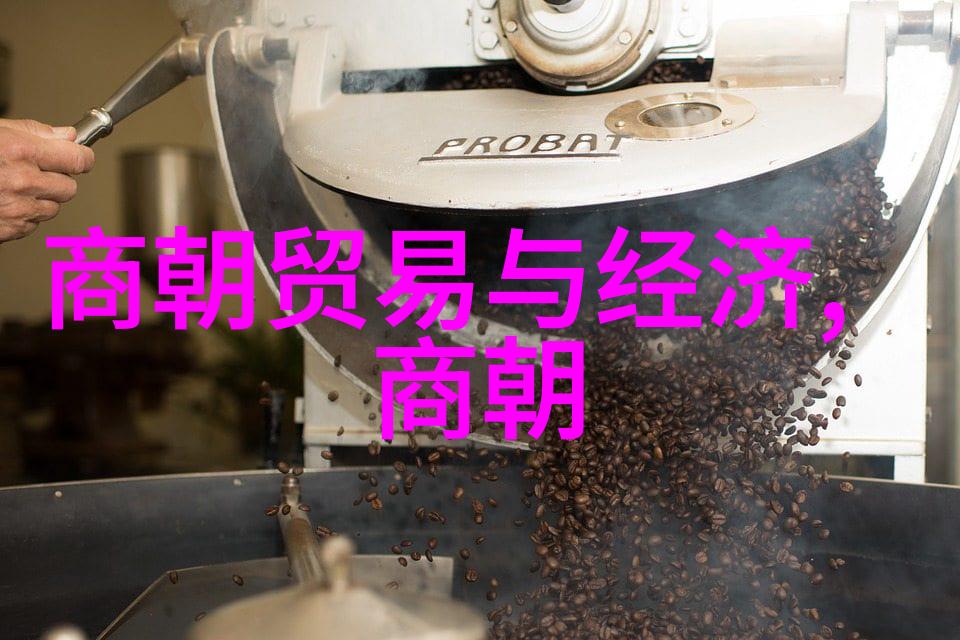 永乐帝海上扩张明朝对外征服的历史