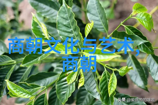多伦诺尔的草原帝国满族如何统一六部并篡夺中原