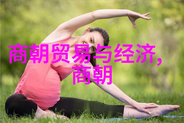 战乱与和平共存明代边疆政策分析