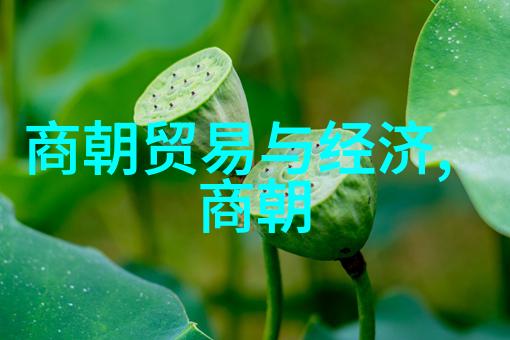 明朝风云文采斐然的才子武功赫赫的将领与智谋深沉的奸雄