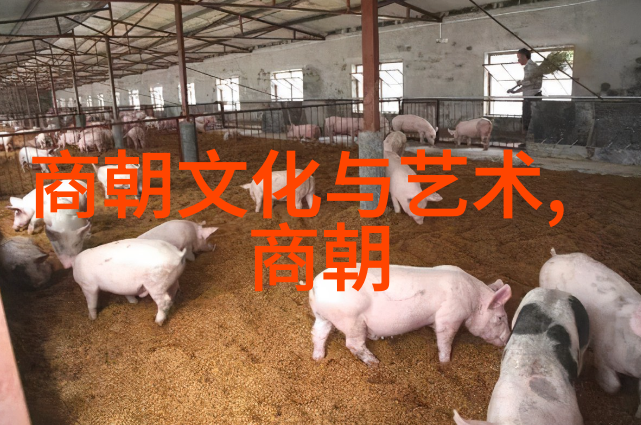 丝路上的纺织技艺唐至Song时期服饰考察