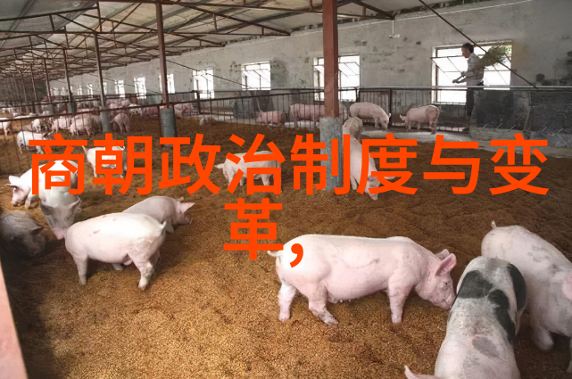 朱允炆下落之谜我亲眼见证的明朝最后一位皇帝消失的秘密