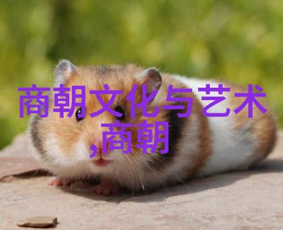 明朝的建立和历史进程明成祖北伐蒙古背后的战略思考