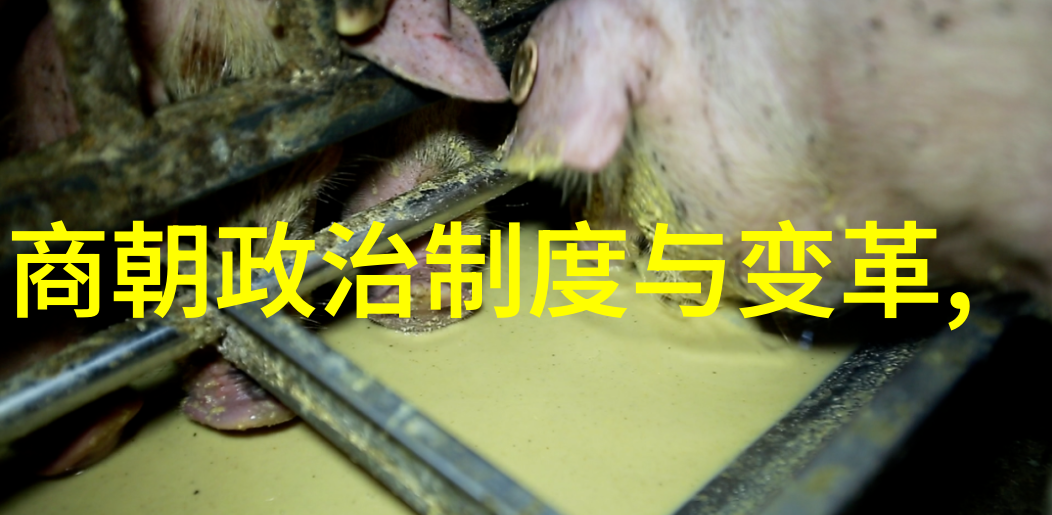 元朝民间故事我亲眼见过的那场奇遇胡大哥和小白马