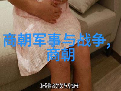 帝王的足迹探索中国历史上的辉煌与沉默