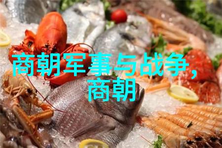 中国历史朝代时间表的编纂与意义探究