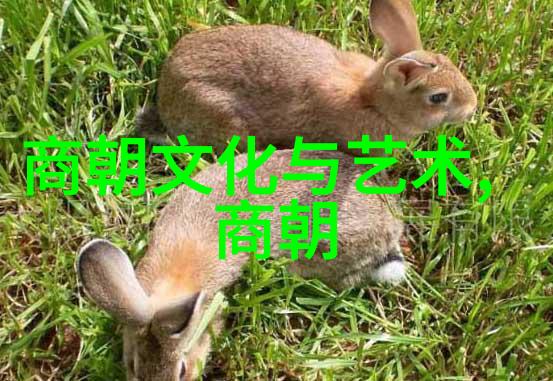 图像与历史交织讲述一个关于朝代图片顺序的小故事