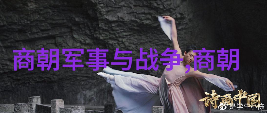 纷飞时光明朝那些隐秘的旋律
