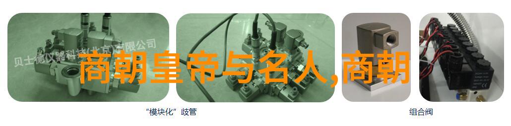 夏桀之谜太极拳中的微循环秘密